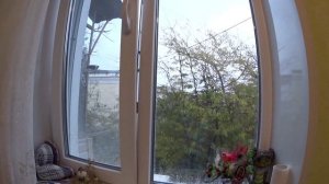 Уголок поставили .