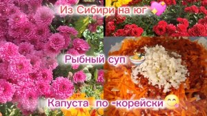 29-10-2025 Переезд из Сибири на юг 💖/Купили дом на юге ☀️/Наши будни/Капуста по -корейски/Супчик//