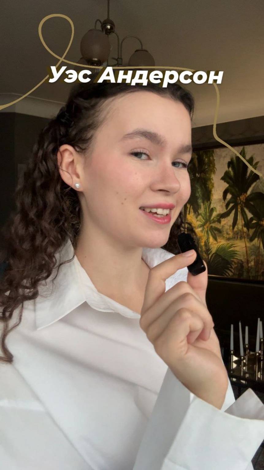 визуальное наслаждение фильмов Уэса Андерсона! смотреть онлайн