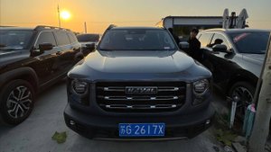 Haval Dargo (DaGou) 2022 Border Collie Edition. Проверка. Местный рынок.