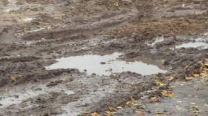 Грузовики со строек продолжают развозить грязь по городским дорогам