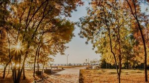 Таганрог мой милый