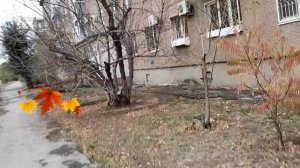 Маршрут не от большого ума