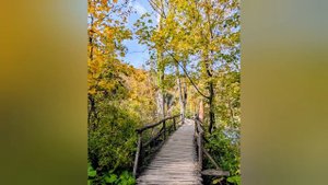 862.Плитвицкие удобные тропы.