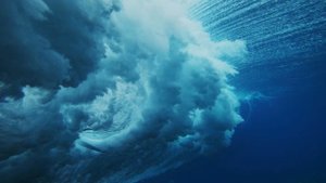 Подводный мир.