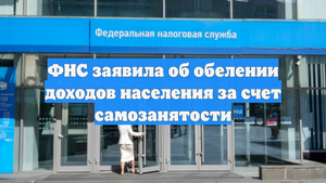 ФНС заявила об обелении доходов населения за счет самозанятости