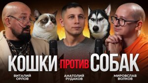 КОШКИ vs СОБАКИ. Сложный разговор о важном, и конфликт на площадке