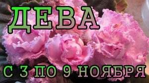 ДЕВА таро прогноз на неделю с 3 по 9 НОЯБРЯ 2025 года.