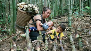 Одинокая девушка собирает побеги бамбука на продажу. Растит двоих маленьких детей. Жизнь во Вьетнаме