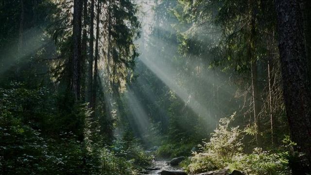 Песня - "Алеет Башкирия!! смотреть онлайн