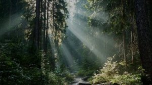 Песня - "Алеет Башкирия!!