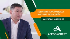 Министр сельского хозяйства и продовольствия Бурятии рассказал о планах развития коневодства