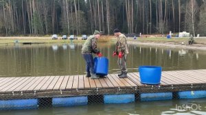 Запуск форели - 29.10.25