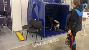 Международный муниципальный Форум БРИКС 2025!