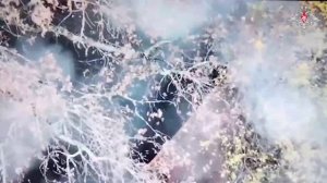 Боевая работа операторов БПЛА в зоне СВО