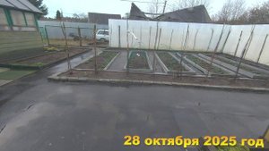 7 соток. И не тепло и не холодно. Что делаю на даче? Хроника 28 октября 2025 год-