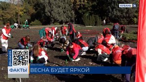 Волонтеры компании «Магнит» высадили тюльпаны на 5 тыс. кв. метров в Краснодаре