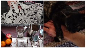 Начала новый процесс😀 Нашла ошибку🤔