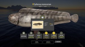 ZEIMAN 6000 НА МОРСКОЙ РЫБАЛКЕ, СТОИТ ЛИ ИДТИ ЗА ПРИКЛЮЧЕНИЯМИ? РУССКАЯ РЫБАЛКА 4 РР4