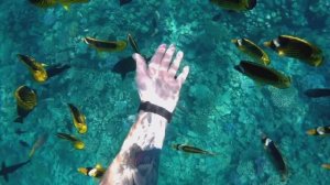 Красота Красного моря🐡🐠🐟 Красное, значит красивое ❤️ Египет