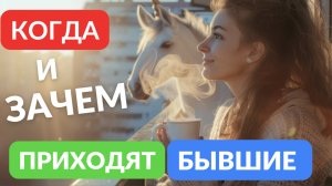 Когда вернутся бывшие. Будьте настороже