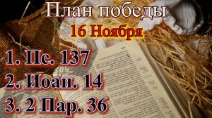 16 Ноября