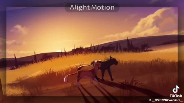 Коты ВОИТЕЛИ.