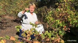 С сестрой на даче