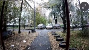 В Питере хозяин питомца избил парня, который замахнулся на его собаку: все это случилось на глаза...