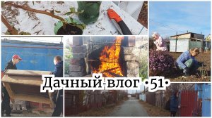 ОБРЕЗАЛА РОЗЫ 🌹 ПОСАДИЛА ЕЖЕВИКУ // УБИРАЕМ МЕБЕЛЬ В ЗИМУ // ЖАРИМ ШАШЛЫК