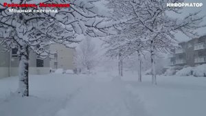 Новости Сегодня 29.10.2025 - ЧП США, Катастрофа Россия, Москва Ураган, Катаклизм