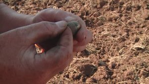 Фильм "Дебёсы. В поисках исчезнувшего города".