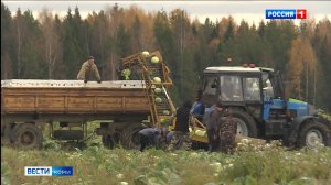 В Коми подводят итоги уборочной и кормозаготовительной кампаний
