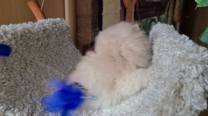 Energy LusyStyle.mp4