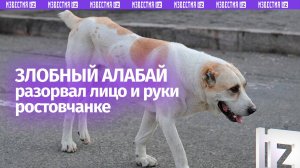Осатаневший алабай отгрыз несколько пальцев и покромсал лицо женщине в Ростове-на-Дону