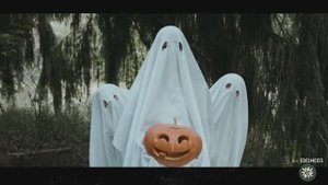ИСТОРИЯ и ТРАДИЦИИ ХЭЛЛОУИНА 🎃 От Самайна до Костюмов: Откуда Взялись Тыквы и "Кошелек или Жизнь"?
