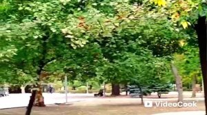 🍂🍂🍂 В подворотне осень с ветром танцевала///Мелитополь 🍁 Осенний парк