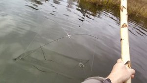 РЫБАЛКА НА ПАУК ЛОВЛЯ ОКУНЯ ЧЕБАКА 29.10.2025.