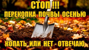 КОПАТЬ ИЛИ НЕТ - перекопка - польза или бесполезный труд