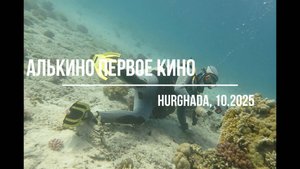 АЛЬКИНО первое КИНО