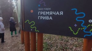 Эко парк.Гремячая Грива.Овраг.Белочки .Красноярск