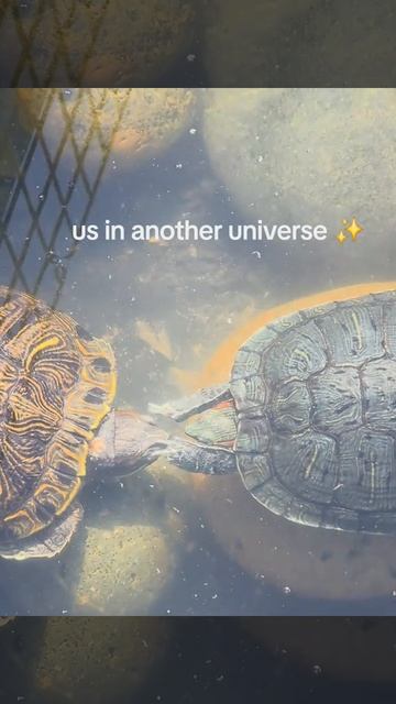 Очнись, ты живой