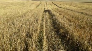 20251026_и ещё один тяжёлый подъём тут же