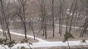 Погода. Уникальное явление природы.