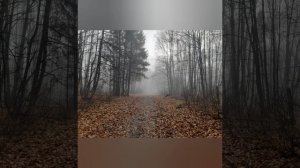 Пушкин. Осень. Октябрь.