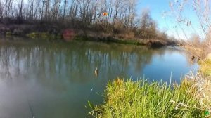 Рыбалка на Поплавок в Чудесный день.Рыбалка на плотву и щуку!