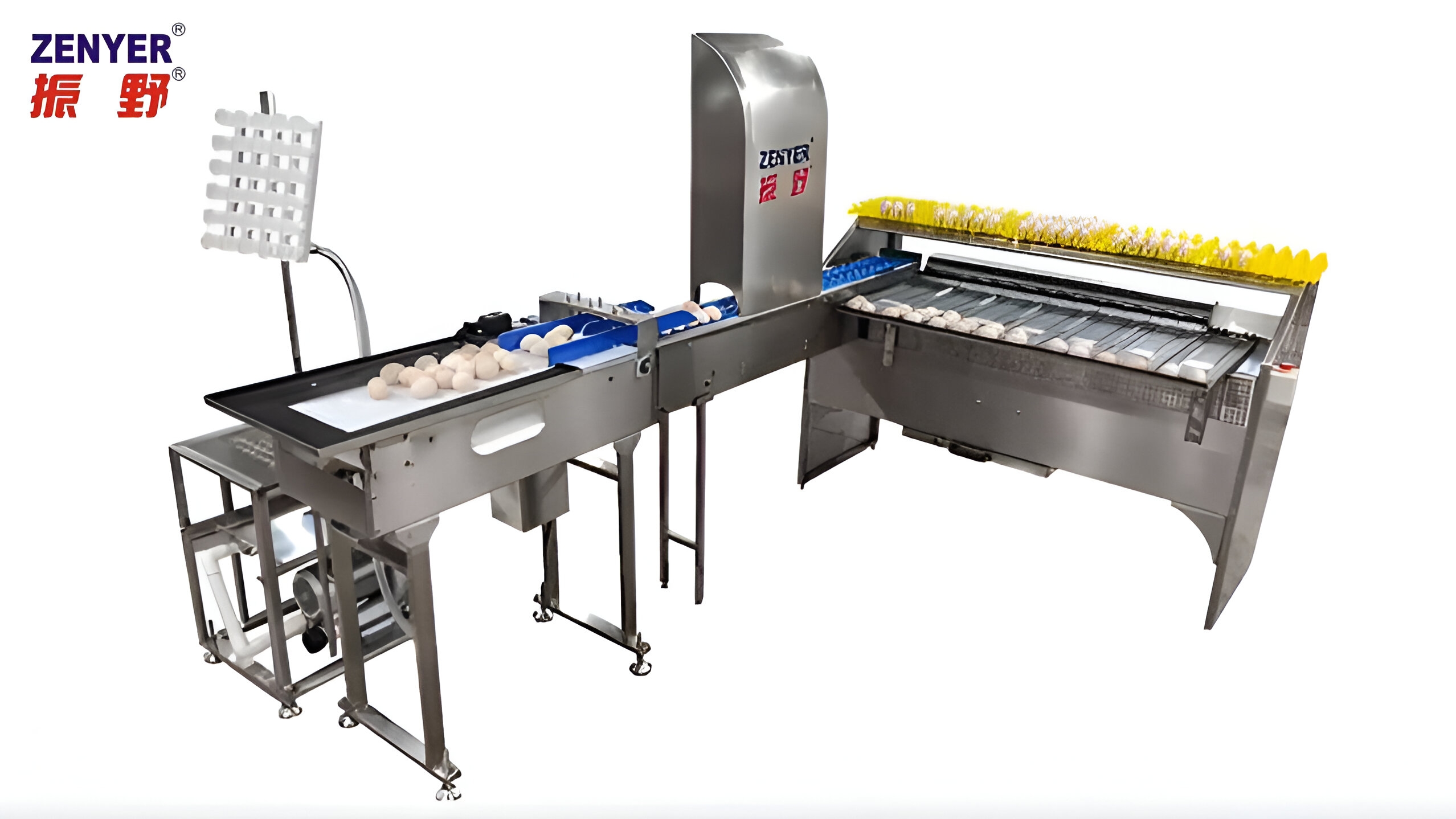 Zenyer NEW 101BS egg grader egg grading machine 4000 eggshour