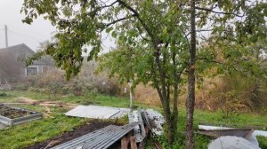 КАК ОБЫЧНО ЧТО ТО ЗАБЫЛ, И САРАЙ НЕ ДОСТРОИЛ