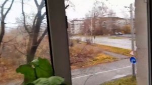 29.10.25г/и всё таки ЩИ🥬🥕🥔🍅