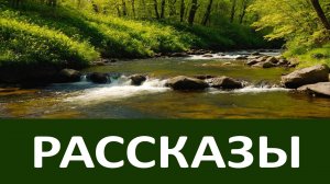 Рассказы Варсонофия Оптинского